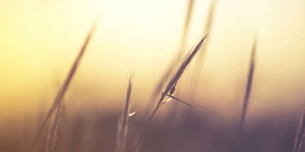 Fotografía Javier Díaz